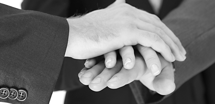 Ansprechpartner